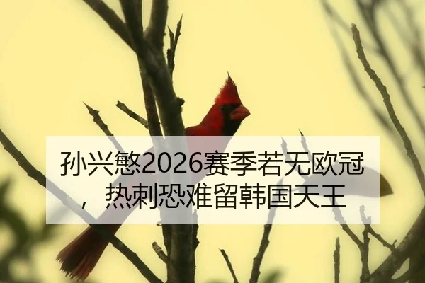 孙兴慜2026赛季若无欧冠，热刺恐难留韩国天王